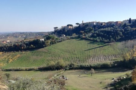 piedmont langhe italian countryside farmhouses